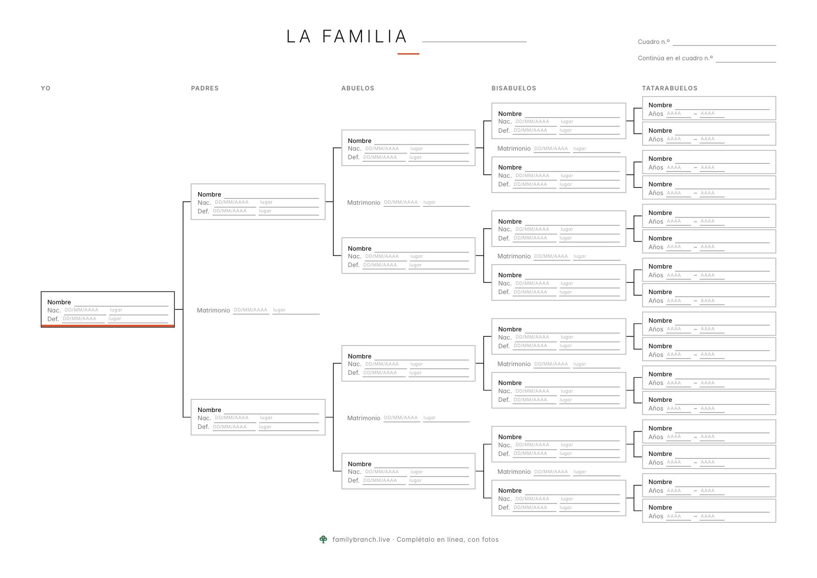 Árbol de antepasados de 5 generaciones, en blanco, en el estilo Minimalista