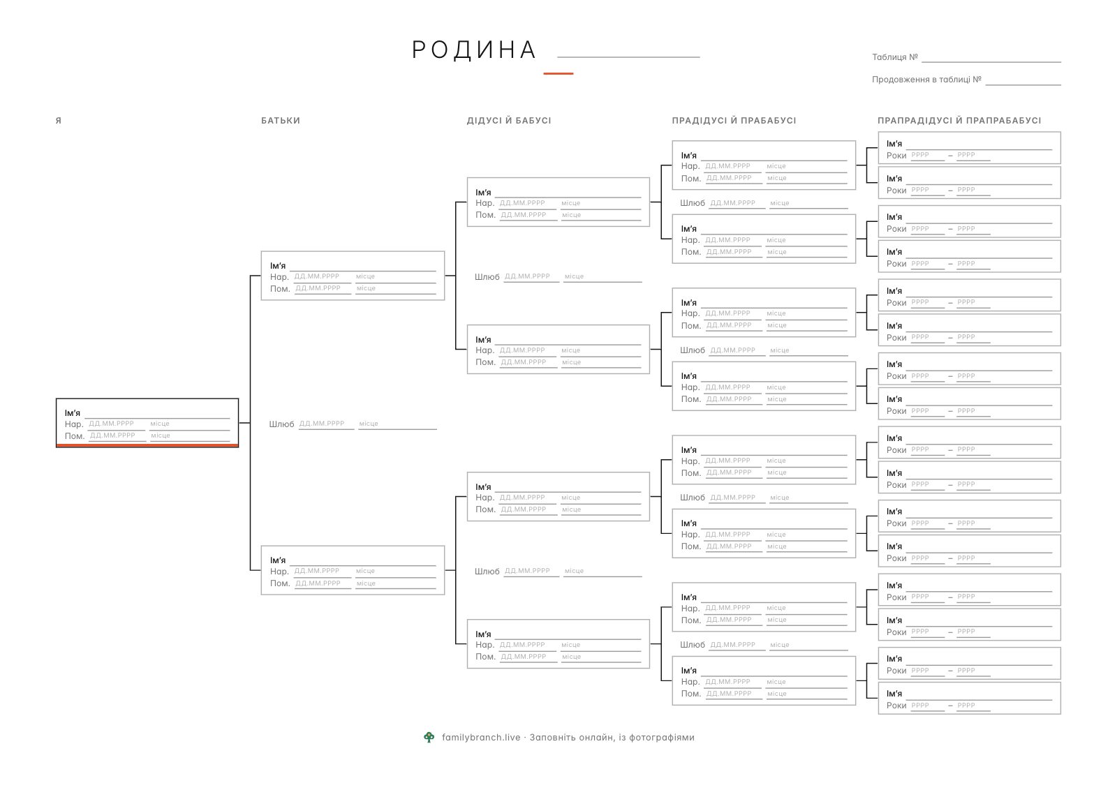 Родовід предків на 5 поколінь, порожній, у стилі «Мінімалізм»